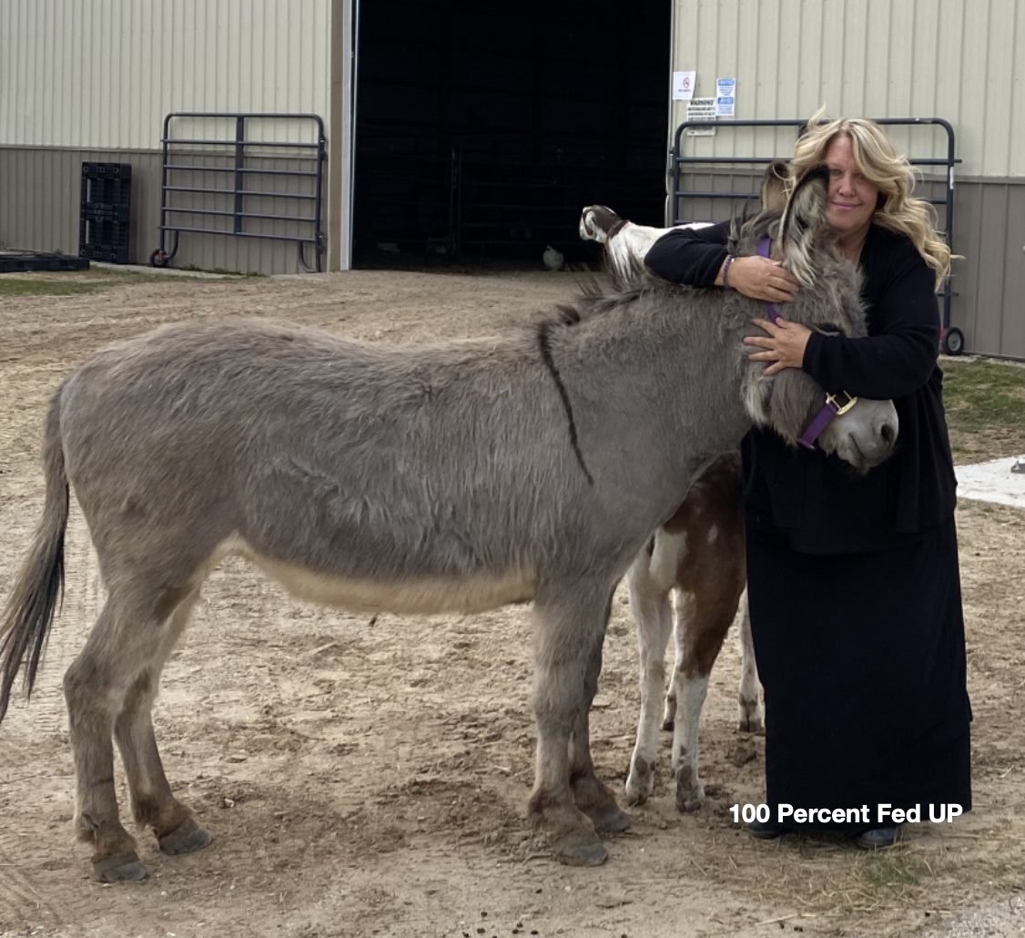 WOW! Brave Rancher and Single Mom Takes on Battery Plant With Ties to Communist China, Local MI Government and Intimidation By Crooked Democrat Mafia: “My neighbor had to call me on a burner phone” [VIDEO] | The Gateway Pundit | by Patty McMurray