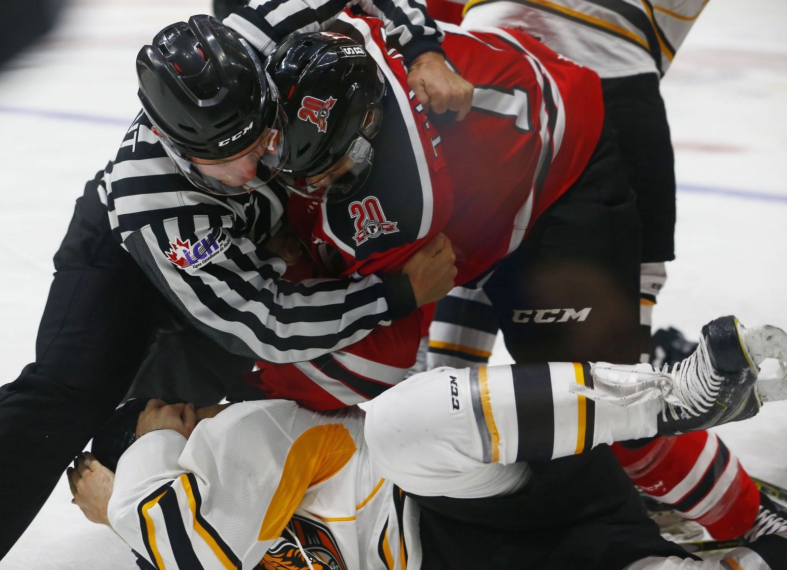 Victoriaville Tigres v Quebec Remparts