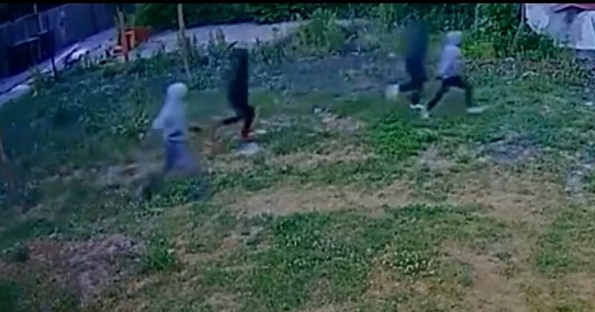 Chicago: Video Shows Squad Tactics in Deadly Ambush by Teen Gunmen | The Gateway Pundit | by Kristinn Taylor