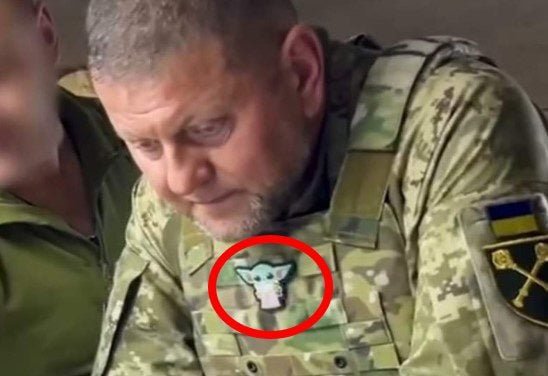 Ukraine's Commander in Chief Spotted Alive After Being Reported Dead as Ukraine Faces Major Losses | The Gateway Pundit | by Anthony Scott | 163