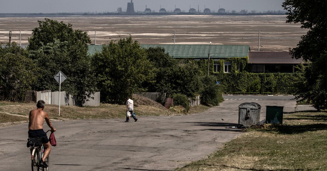 Ukrainian Nuclear Plant Is Just One of Innumerable Problems for Its Neighbors