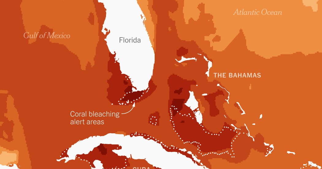 How Hot Is the Sea Off Florida Right Now? Think 90s Fahrenheit.