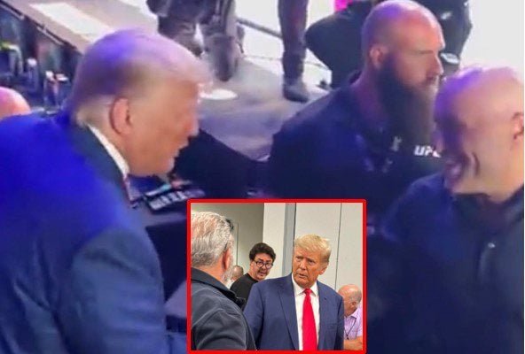 Trump Meets Up With Joe Rogan, Mel Gibson And More At UFC 290 | The Gateway Pundit | by Anthony Scott | 163