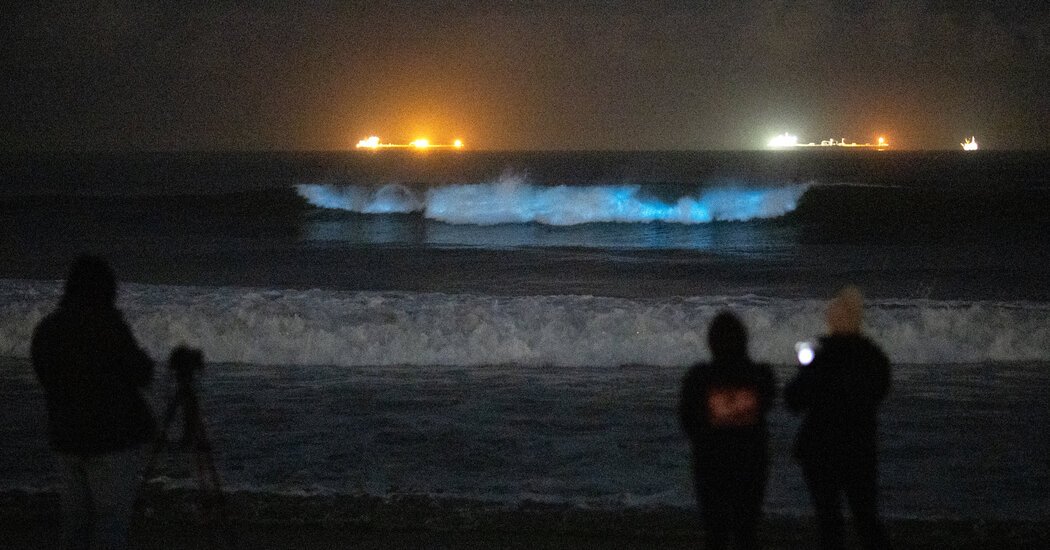 Why Are California’s Waters Lighting Up in Blue?